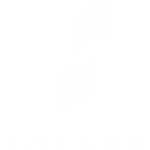 Syntergy white logo